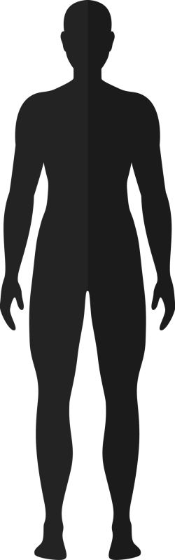Asset 1